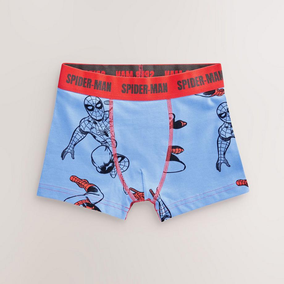 Next  Boxer 