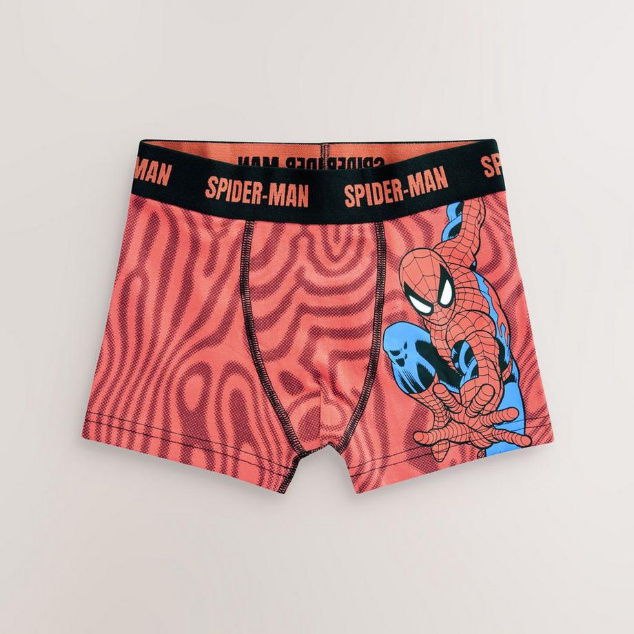 Next  Boxer 