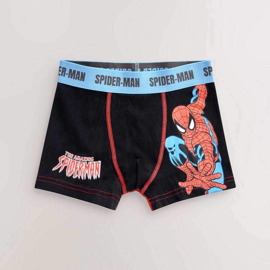 Next  Boxer 