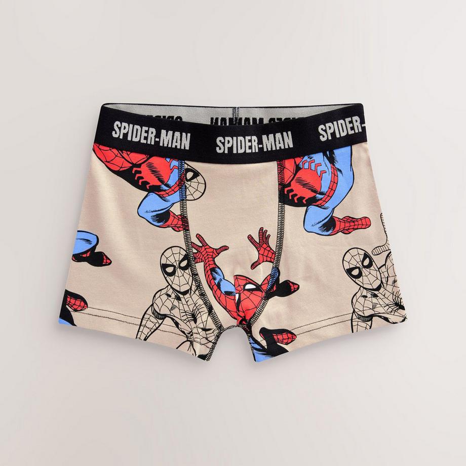 Next  Boxer 