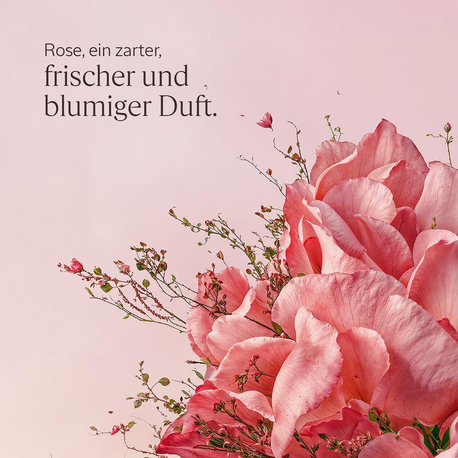 L’Occitane en Provence Eau de Toilette Rose  
