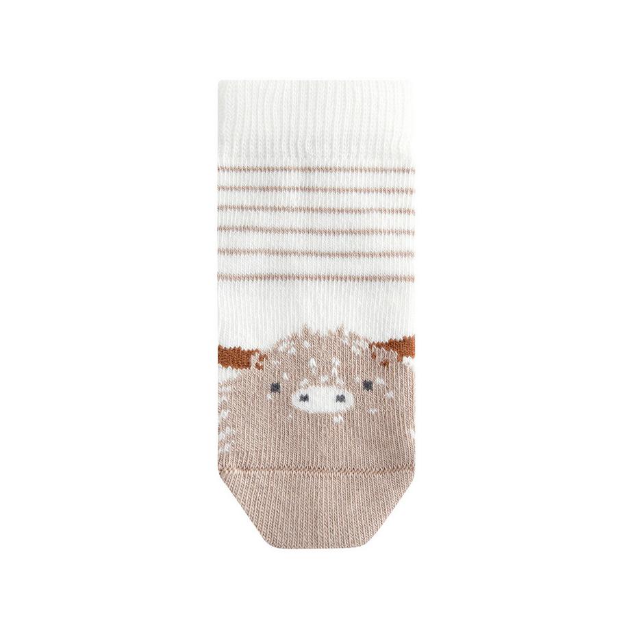 Next  Multipack, Socken 
