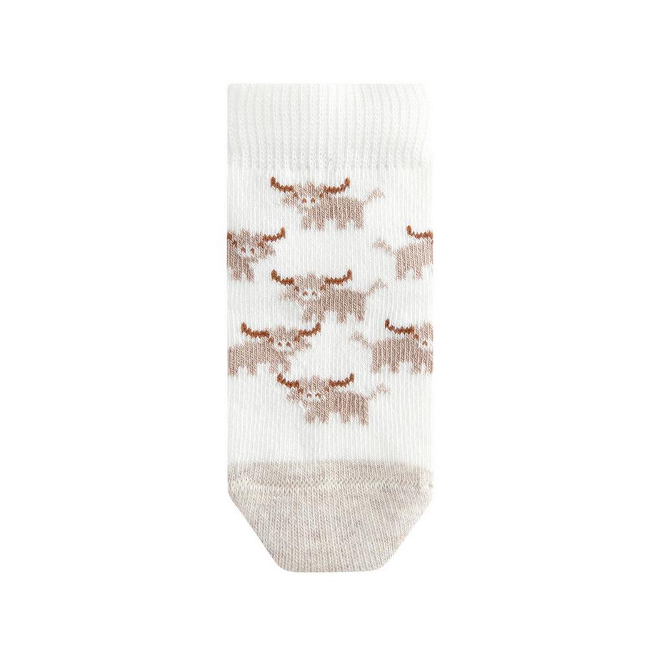 Next  Multipack, Socken 