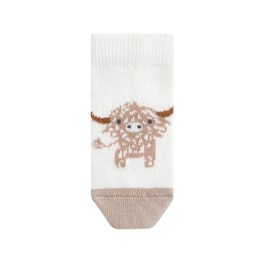 Next  Multipack, Socken 