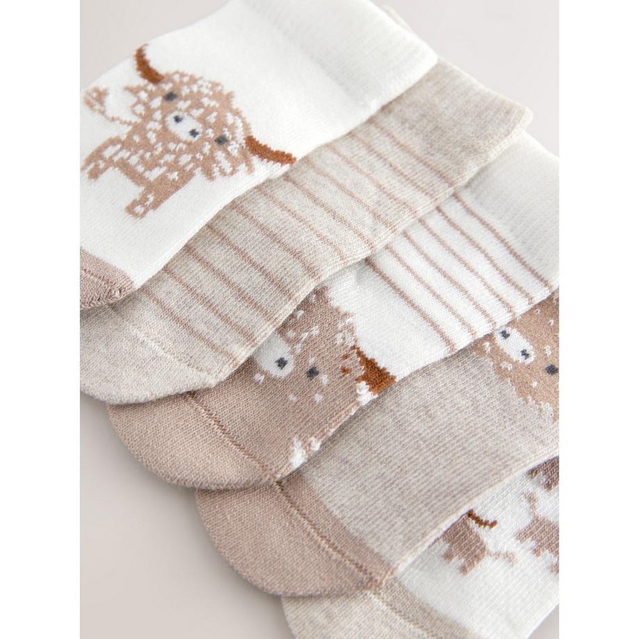 Next  Multipack, Socken 