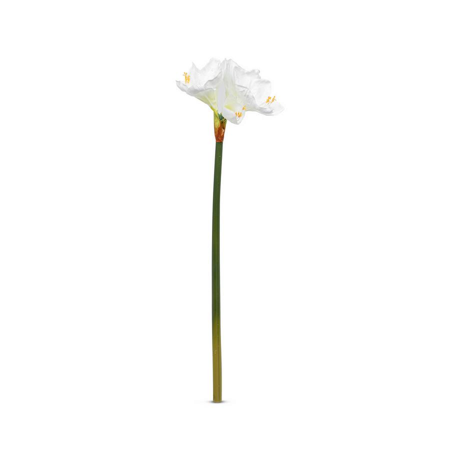 Manor Home Kunstblume Amaryllis 
