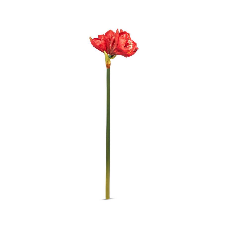 Manor Home Kunstblume Amaryllis 