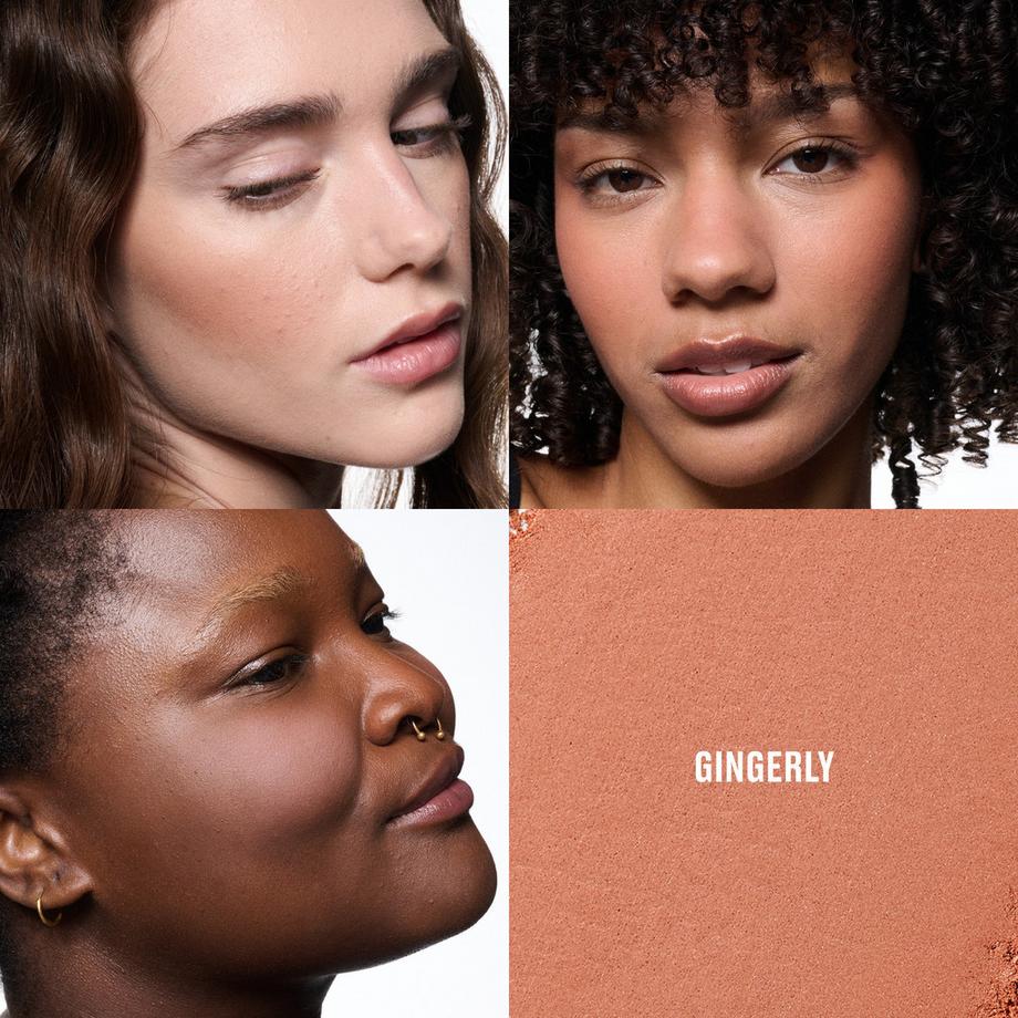 MAC Cosmetics  Skinfinish Colourstruck Blush 
