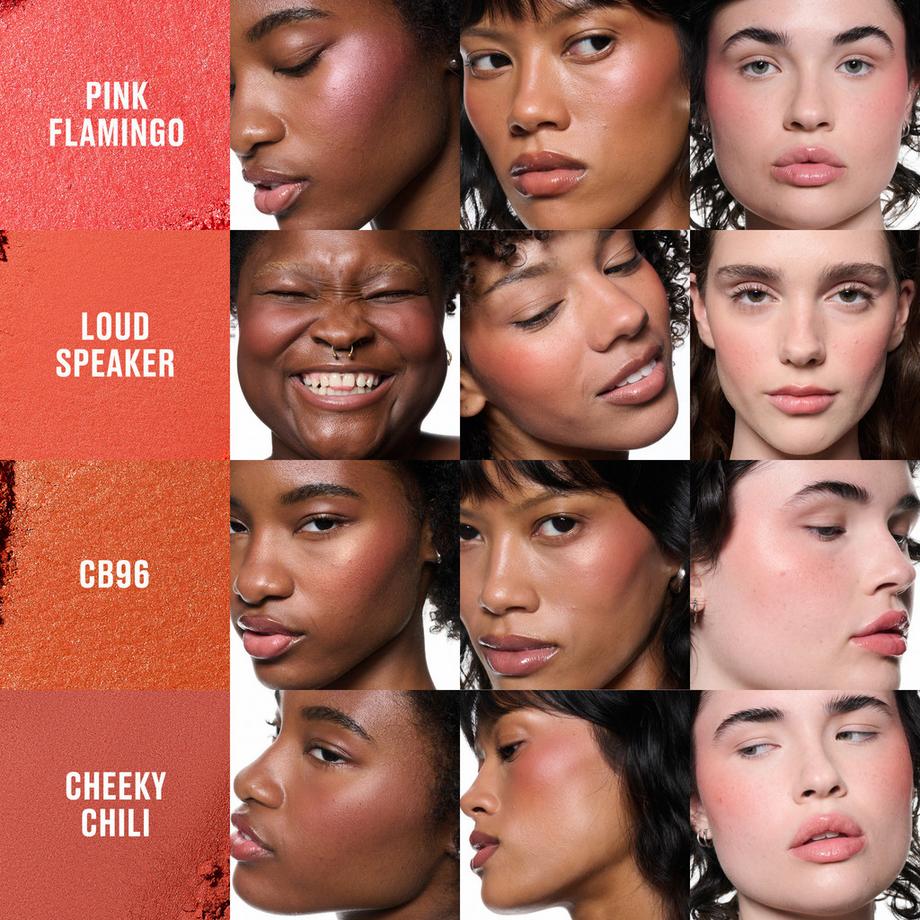 MAC Cosmetics  Skinfinish Colourstruck Blush 