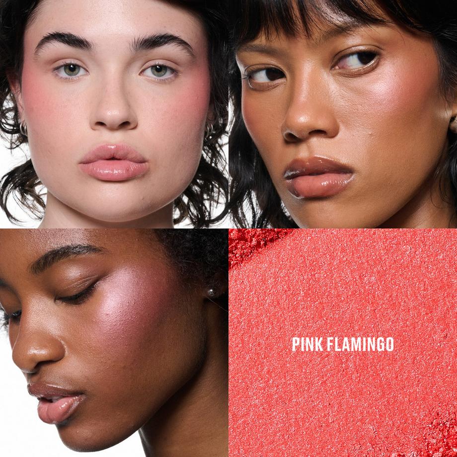 MAC Cosmetics  Skinfinish Colourstruck Blush 