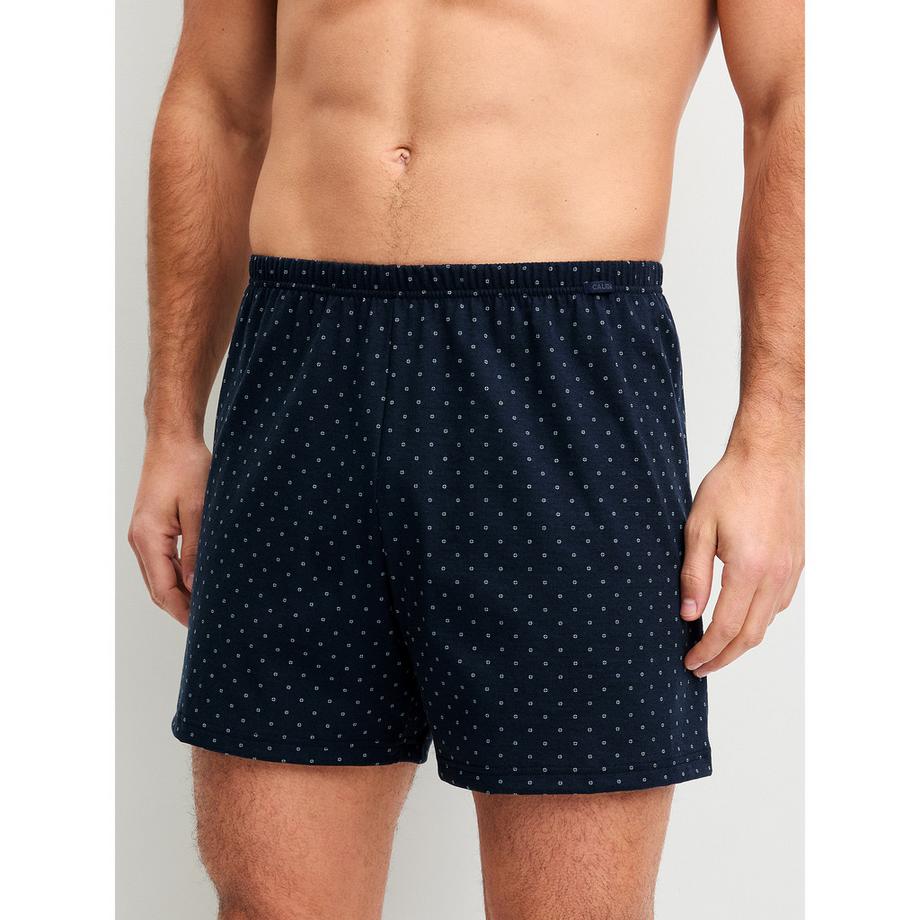 Boxer