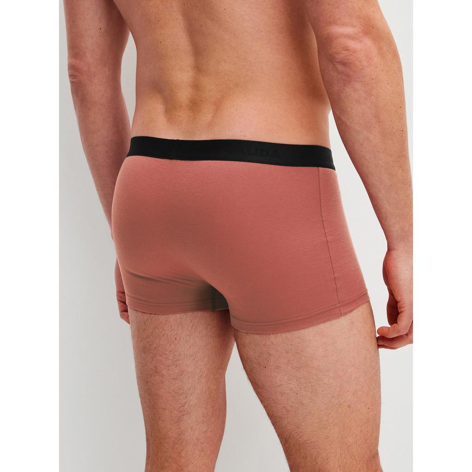 CALIDA Cotton Special Boxershorts  