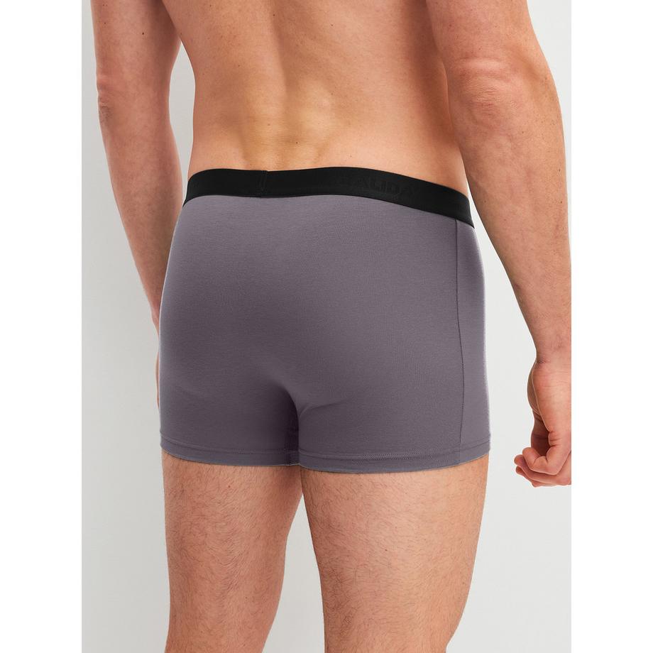 CALIDA Cotton Special Boxershorts  