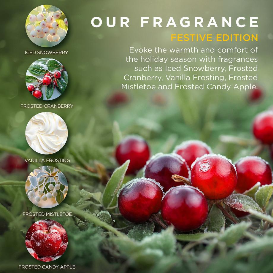 BAYLIS & HARDING  Festive Pamper Coffret cadeau 