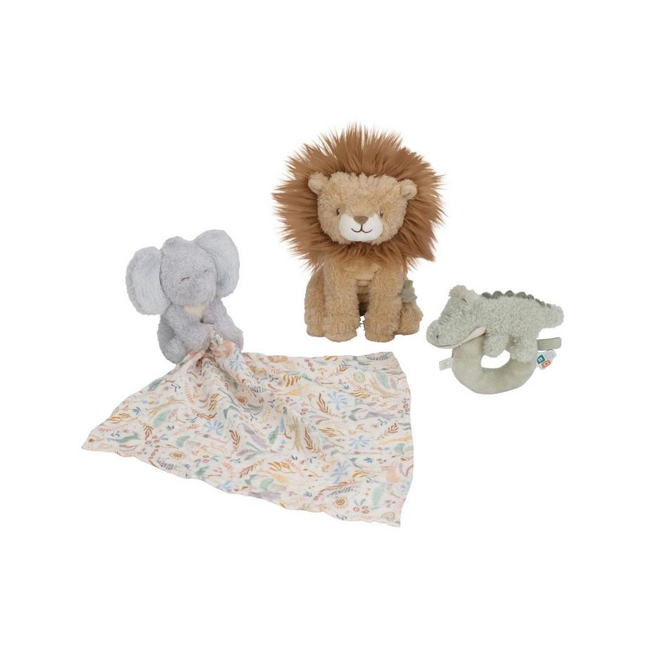 Set regalo