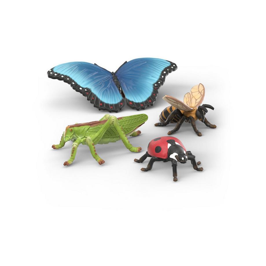 42741 Coffret d’insectes