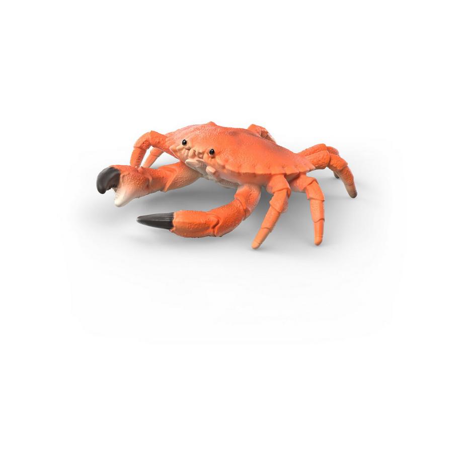 Schleich  42742 Coffret d’animaux marins 