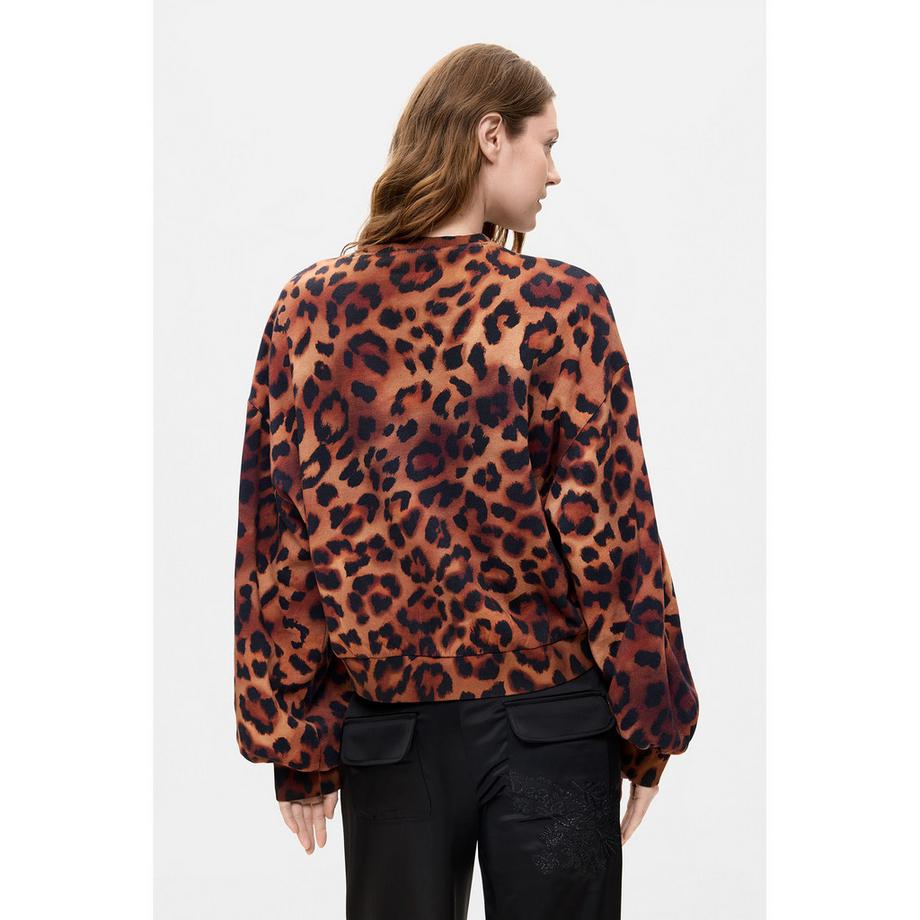 Desigual   