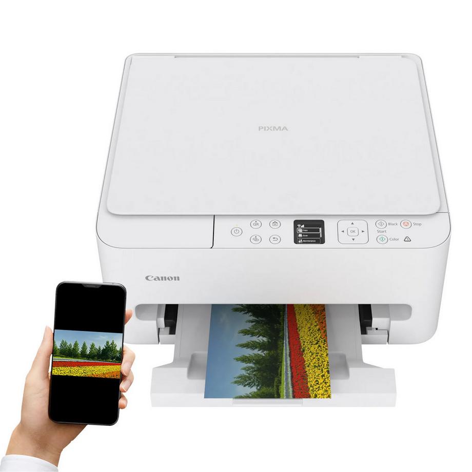 Canon Canon PIXMA TS6550i Imprimante jet d'encre 