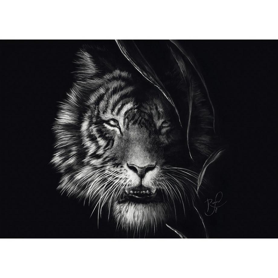 Schmidt  Tigre signe de la liberté 1000pcs.  