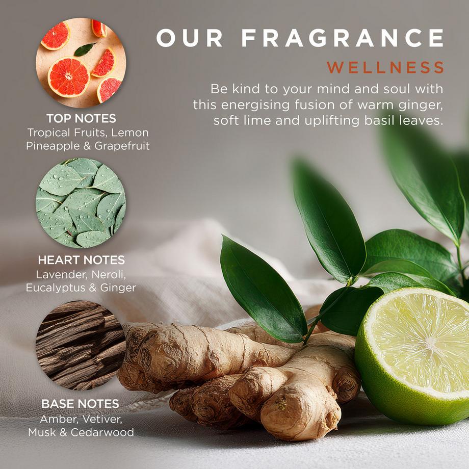 BAYLIS & HARDING  Wellness Bade-Infusion Geschenkset 