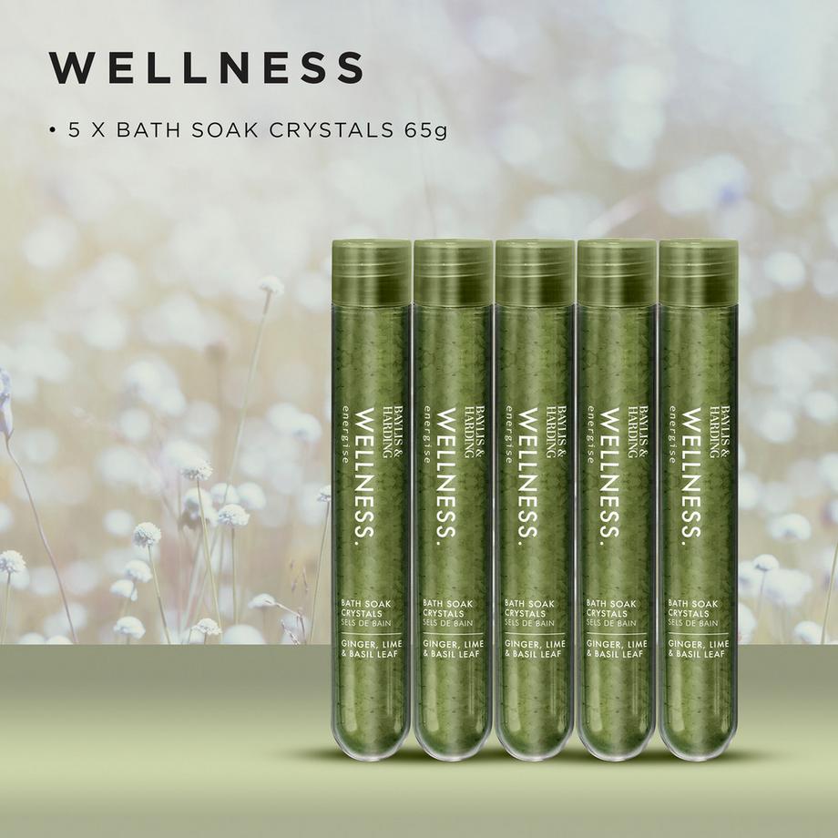 BAYLIS & HARDING  Wellness Bade-Infusion Geschenkset 