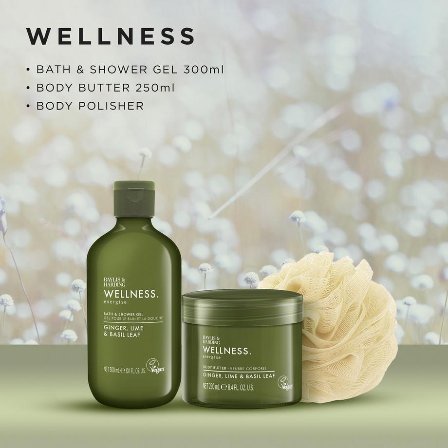 BAYLIS & HARDING  Wellness Geschenkset mit Korb 