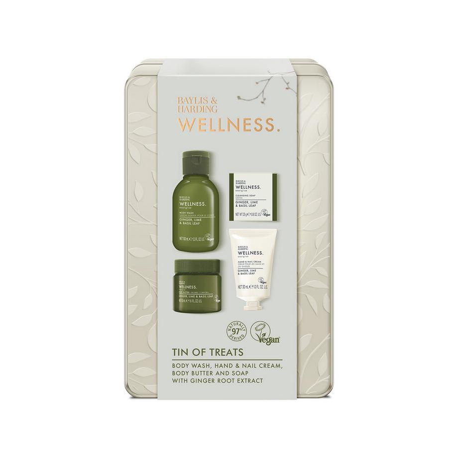 BAYLIS & HARDING  Wellness Tin Geschenkset 