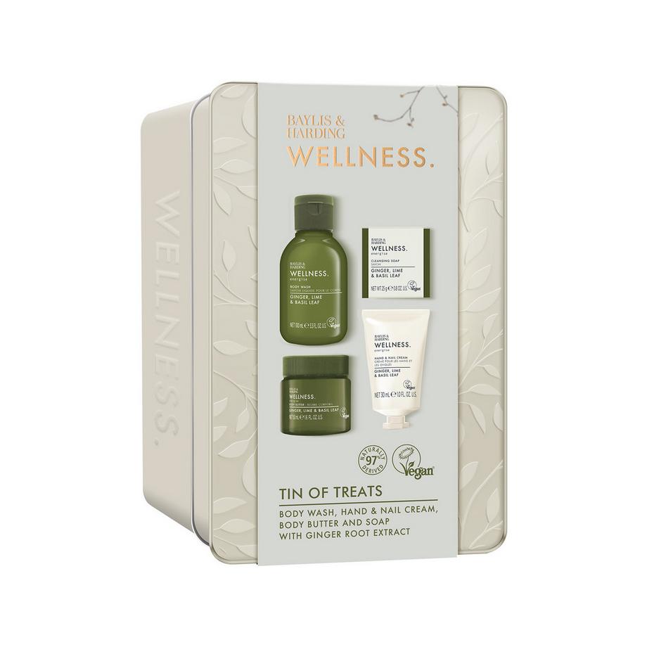 BAYLIS & HARDING  Wellness Tin Geschenkset 