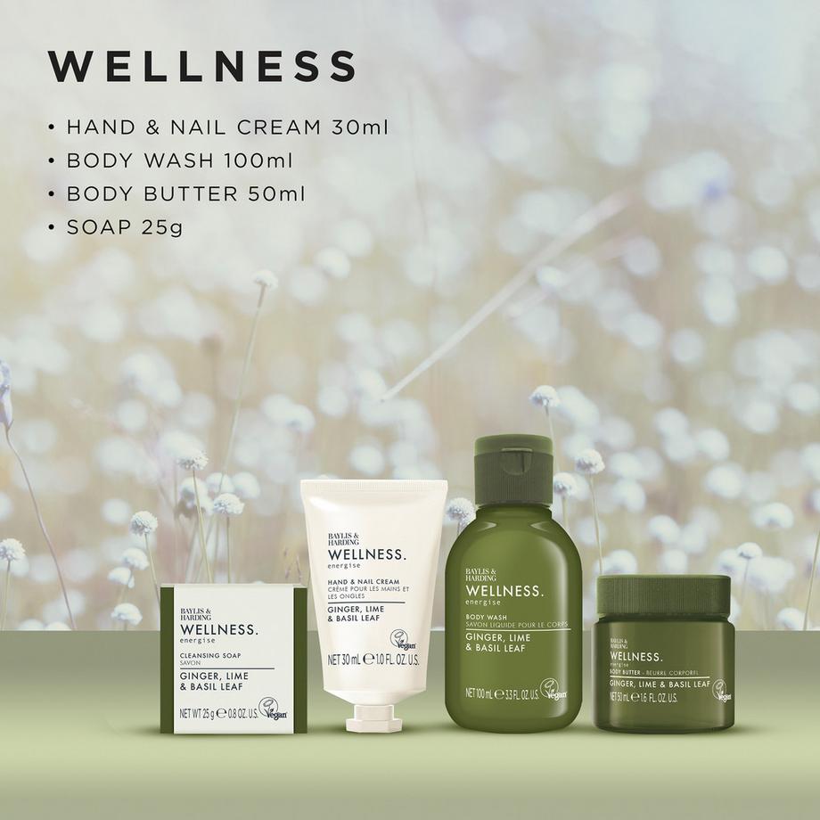 BAYLIS & HARDING  Wellness Tin Geschenkset 