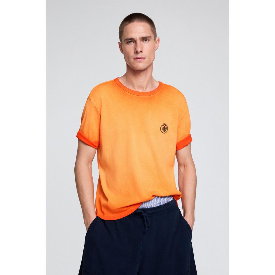 Desigual Shorts  