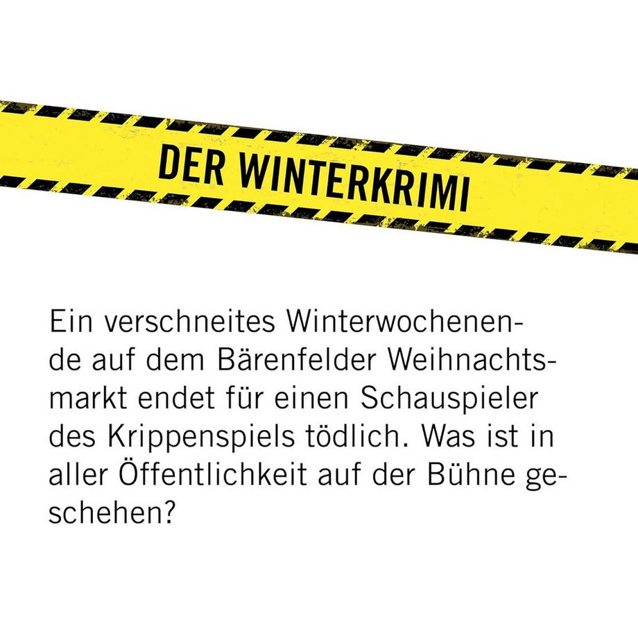 Hidden Games  Eiskaltes Verbrechen – Krimispiel 