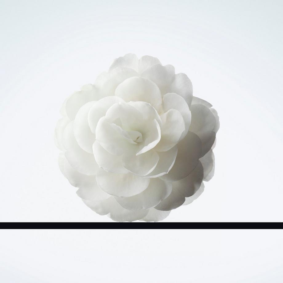 CHANEL DÉMAQUILLANT LACTÉ INTENSE DÉMAQUILLANT DOUX YEUX ET LÈVRES 