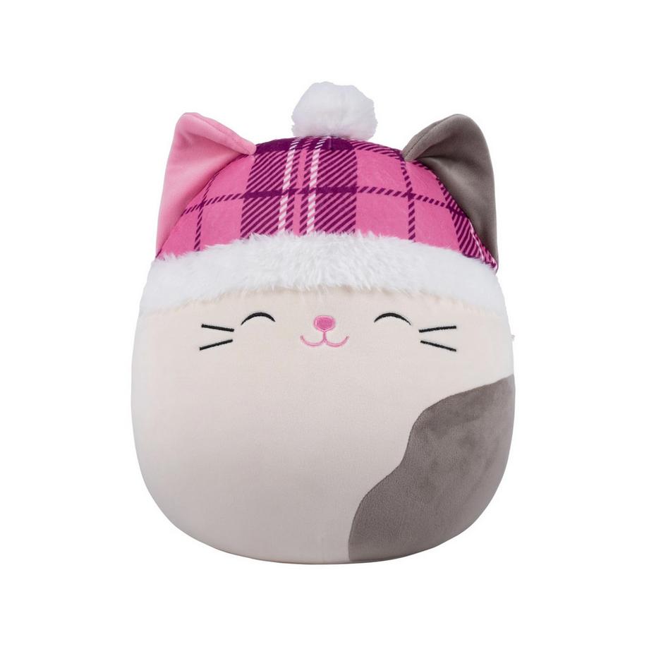 Karina die Katze mit Karo-Beanie