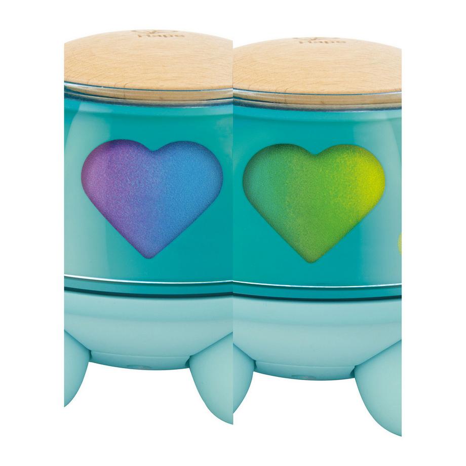 Hape  Twist & Tune Turtle 