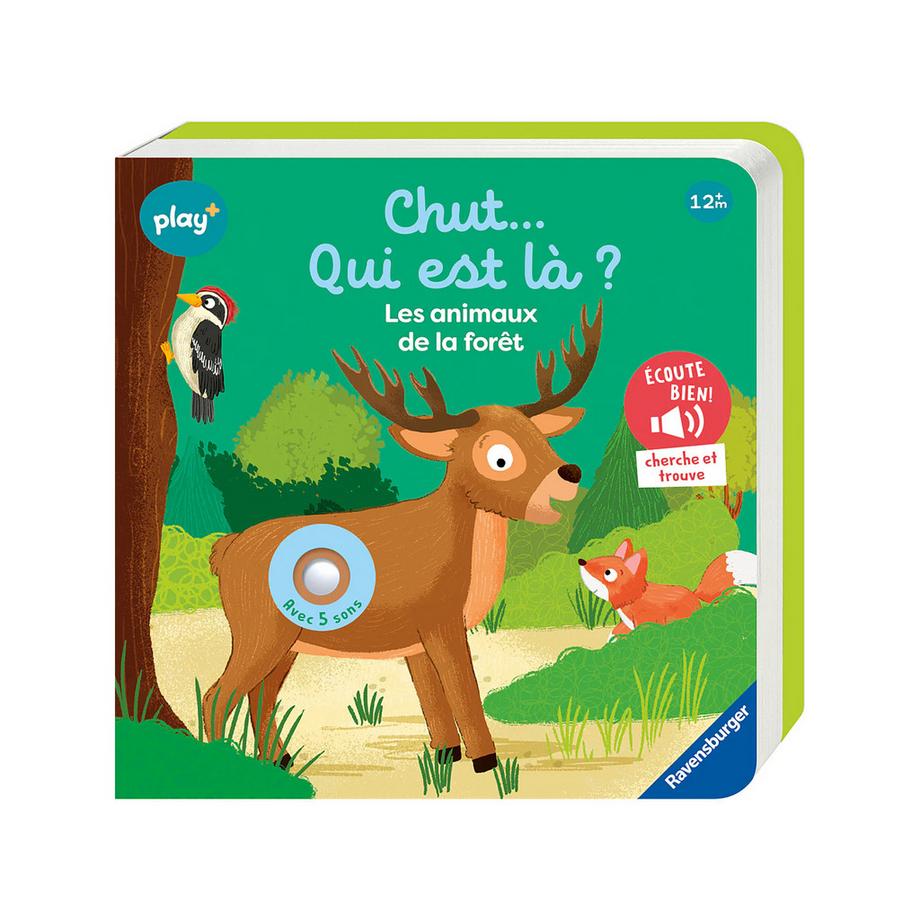 Chut... qui est là ? Les animaux de la forêt