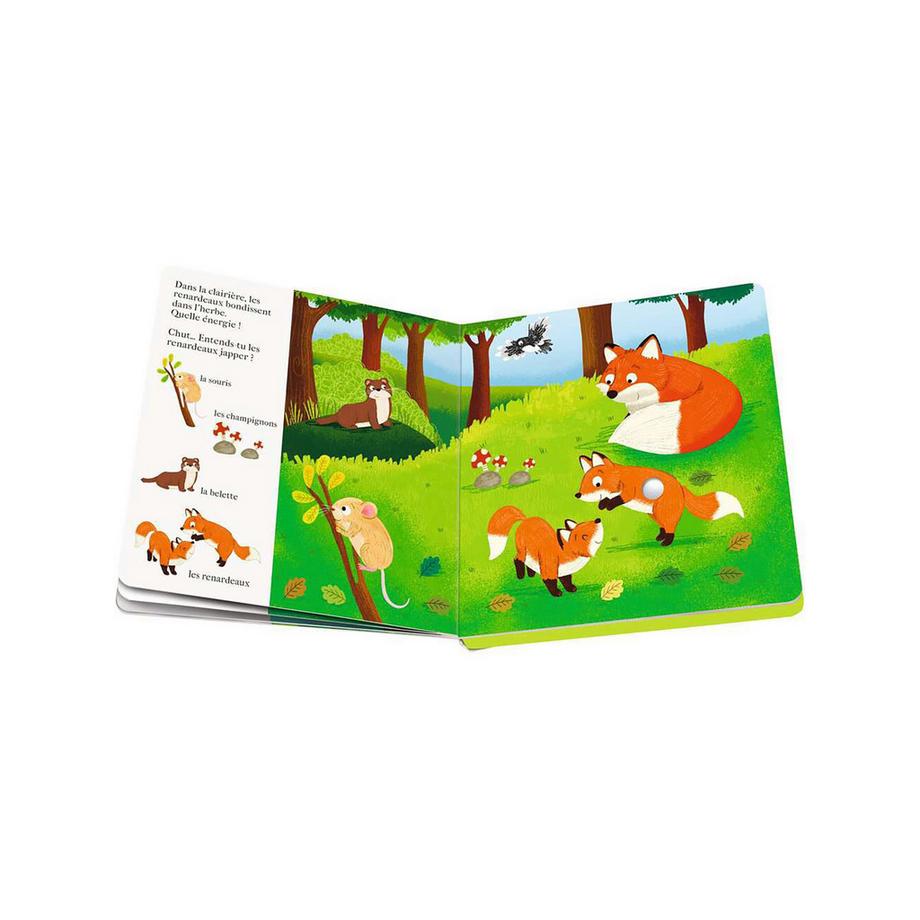 Ravensburger  Chut... qui est là ? Les animaux de la forêt 