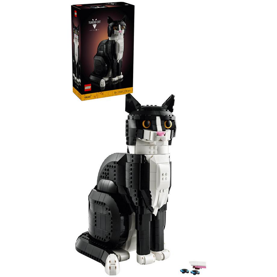 21349 Le chat bicolore