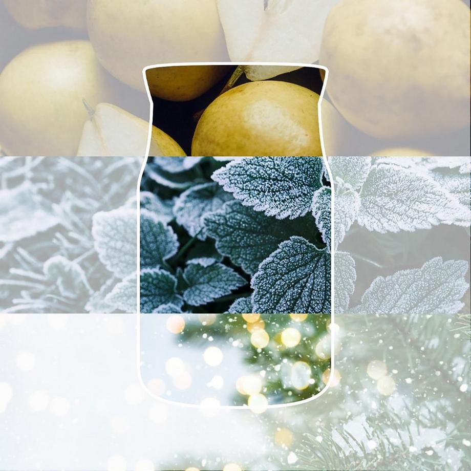 Yankee Candle Signature Duftkerze im Glas Winter Walk 