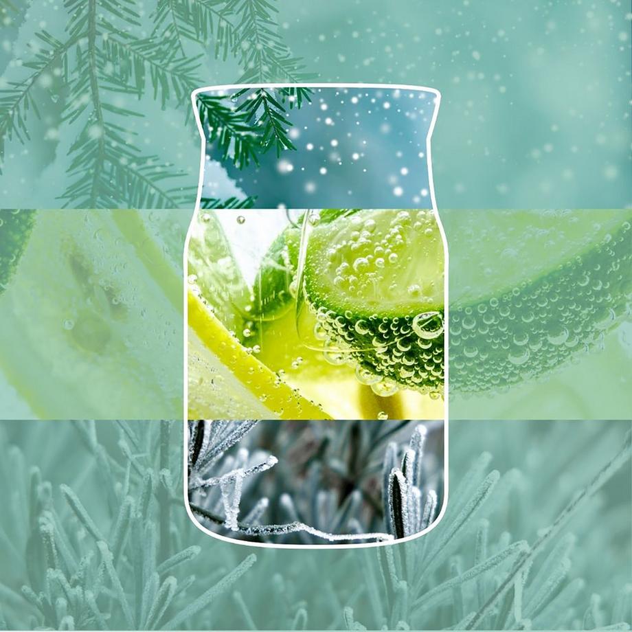Yankee Candle Signature Duftkerze im Glas Trimming 