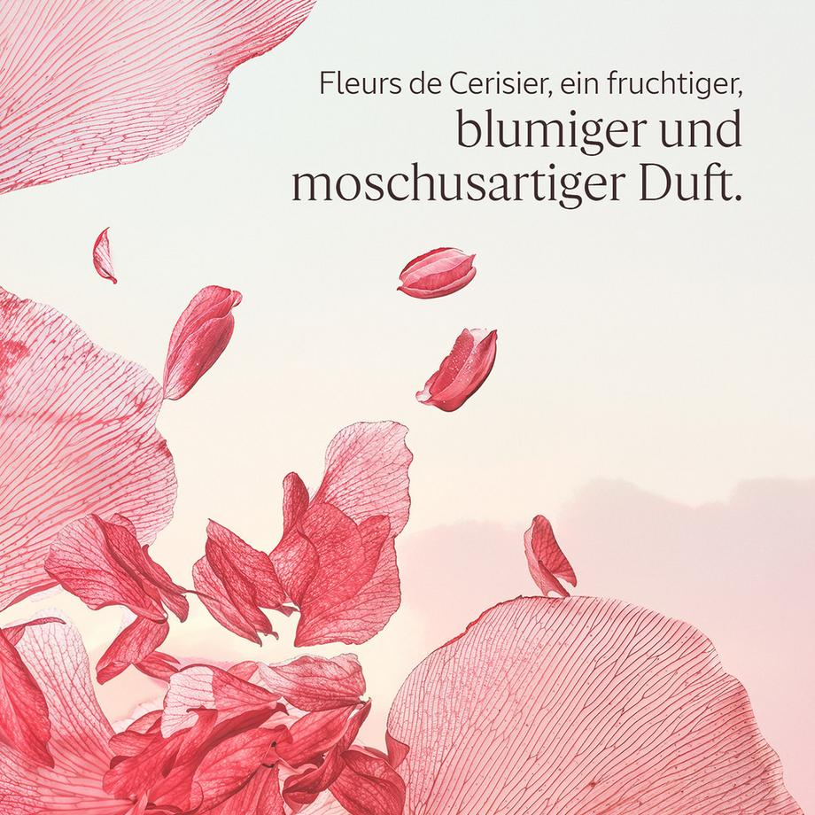 L’Occitane en Provence  Coffret cadeau Parfum Fleurs de Cerisier 