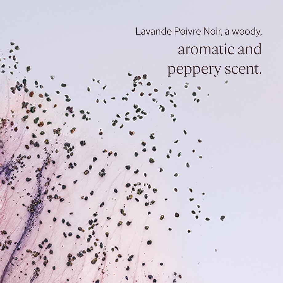 L’Occitane en Provence  Coffret cadeau Parfum Lavande Poivre Noir 