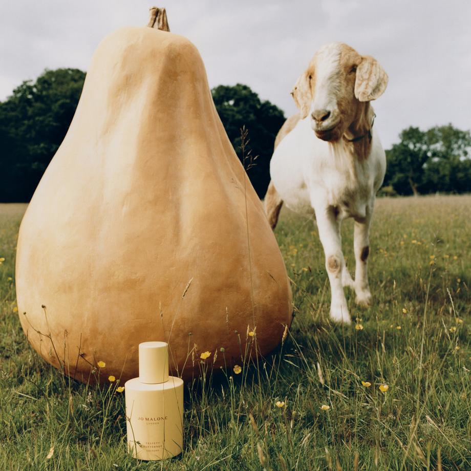 Jo Malone London Velvety Butternut Cologne  