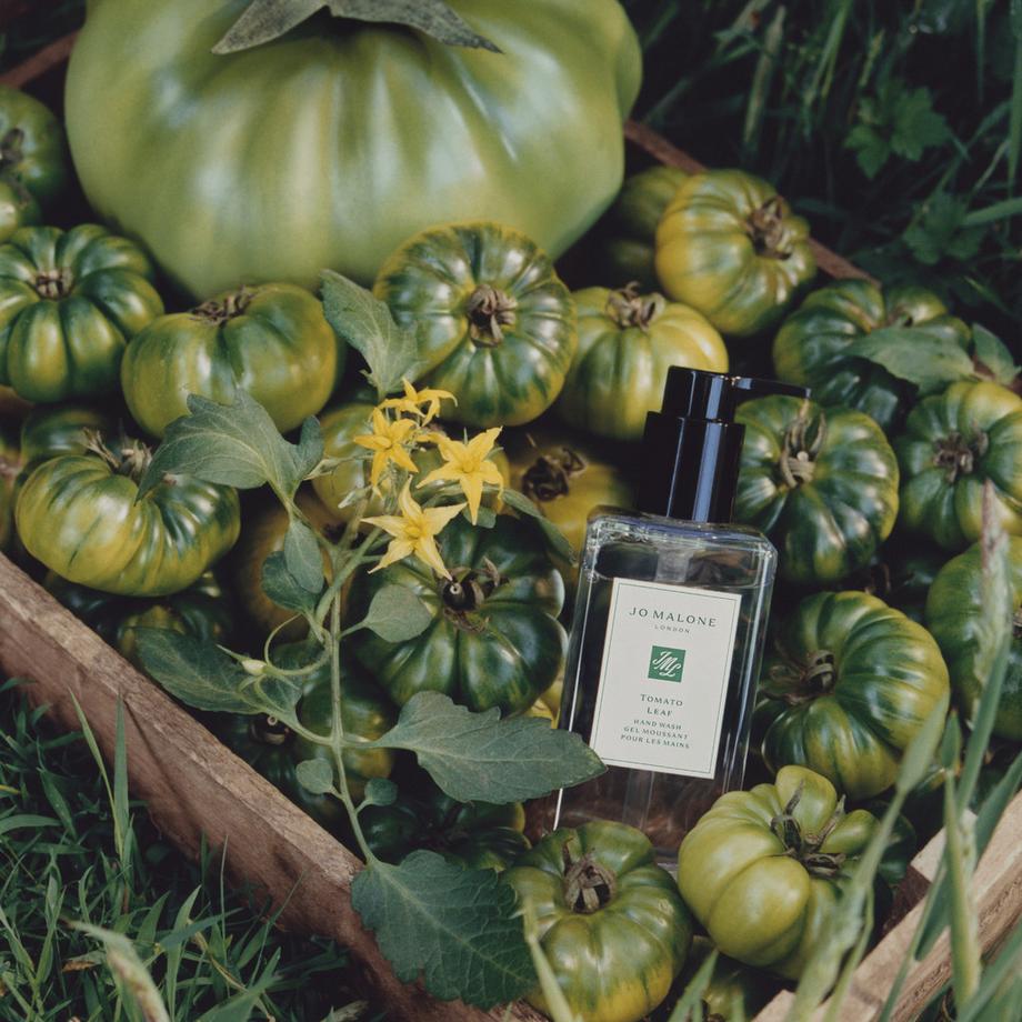 Jo Malone London   Tomato Leaf Hand Wash 