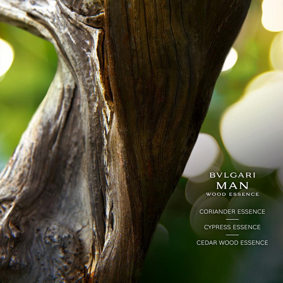 BVLGARI Man Wood Essence Set  