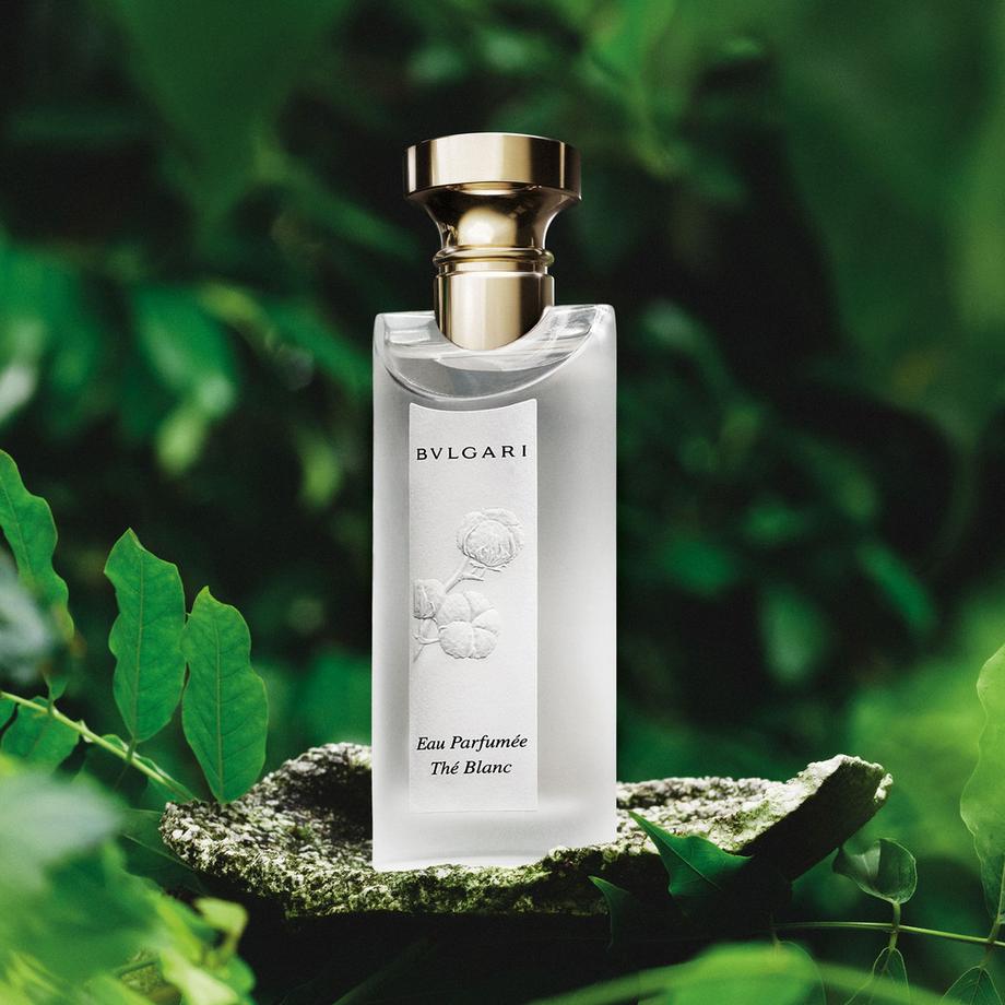 BVLGARI Eau Parfumée Thé Blanc Set  