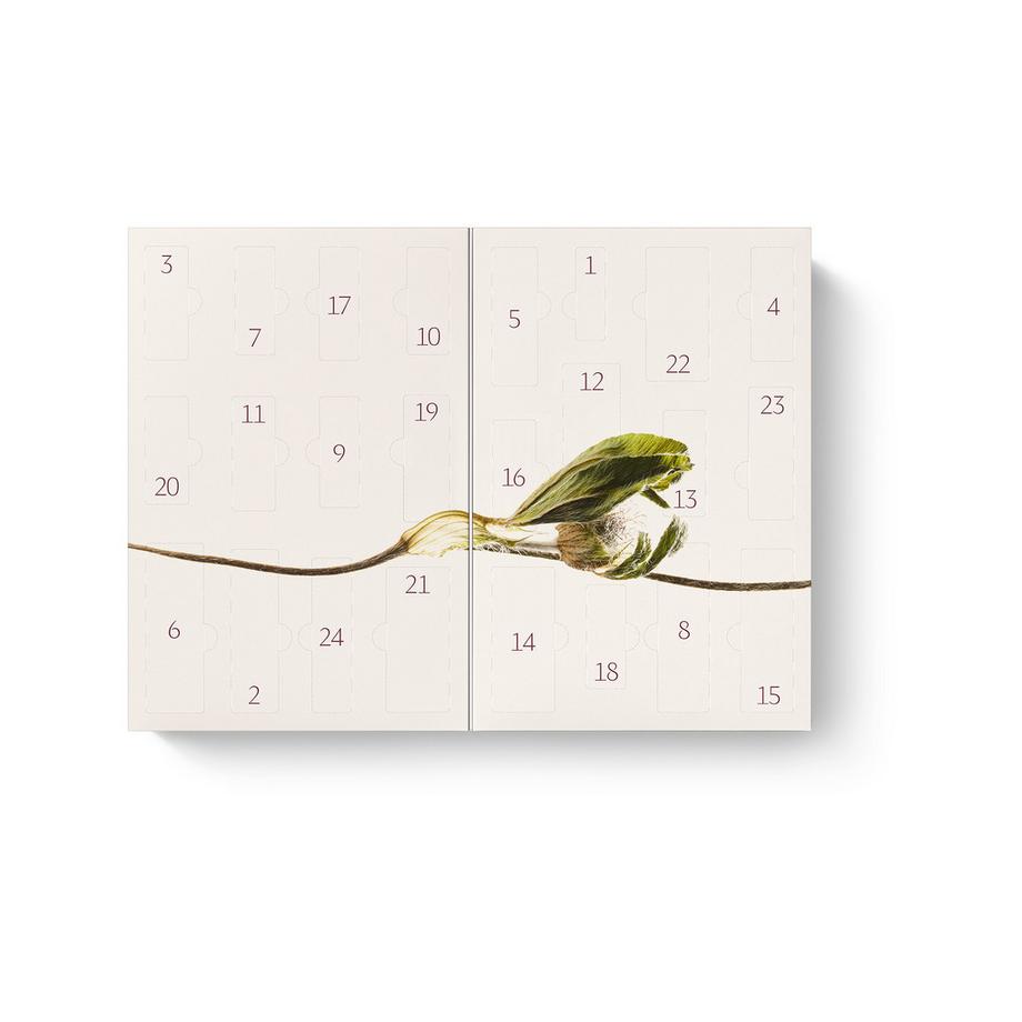 Dr. Hauschka  Calendrier de l'Avent bliss 