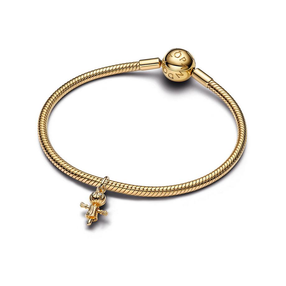 PANDORA Pandora Moments Charm 