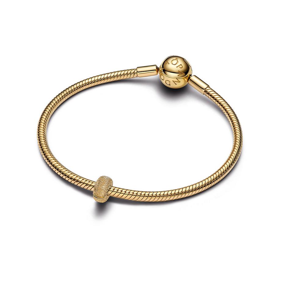 PANDORA Pandora Moments Charm 