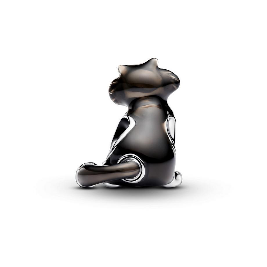 PANDORA Pandora Collabs Charm 